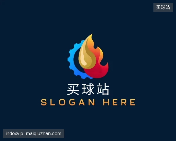 解读买球站官方网站